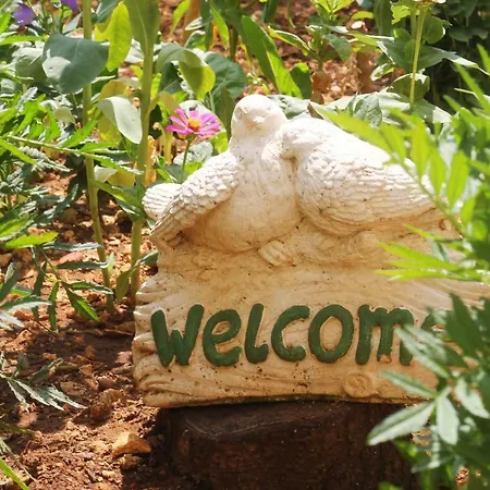 بيت ضيافة Mito And