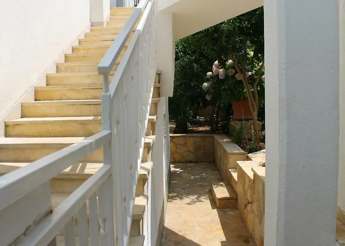 Mito And 特罗吉尔